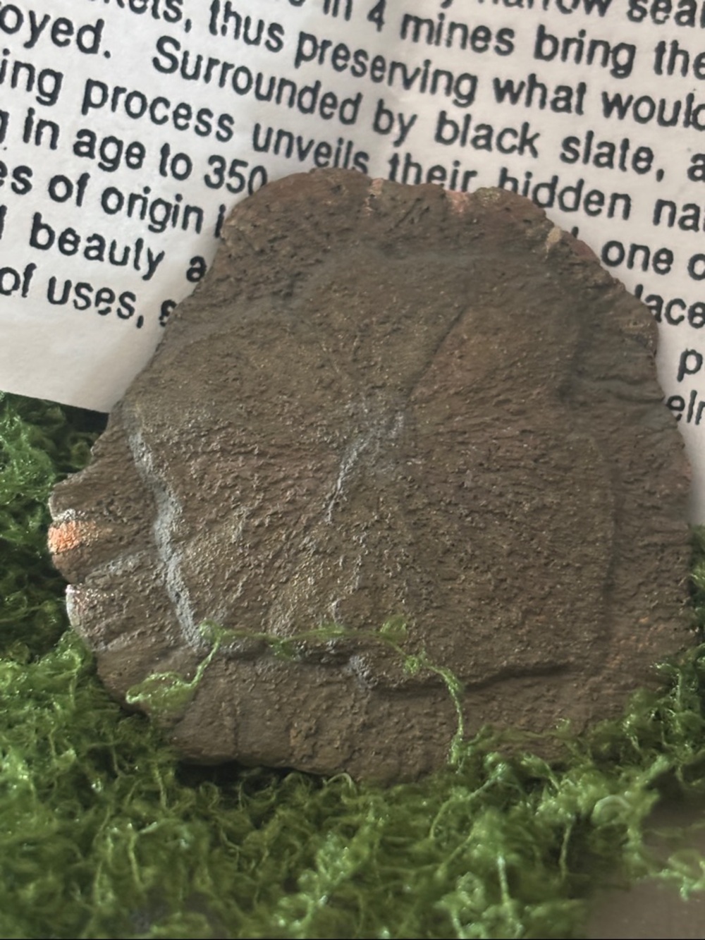 Pyrite Sun - Picture 6 of 9